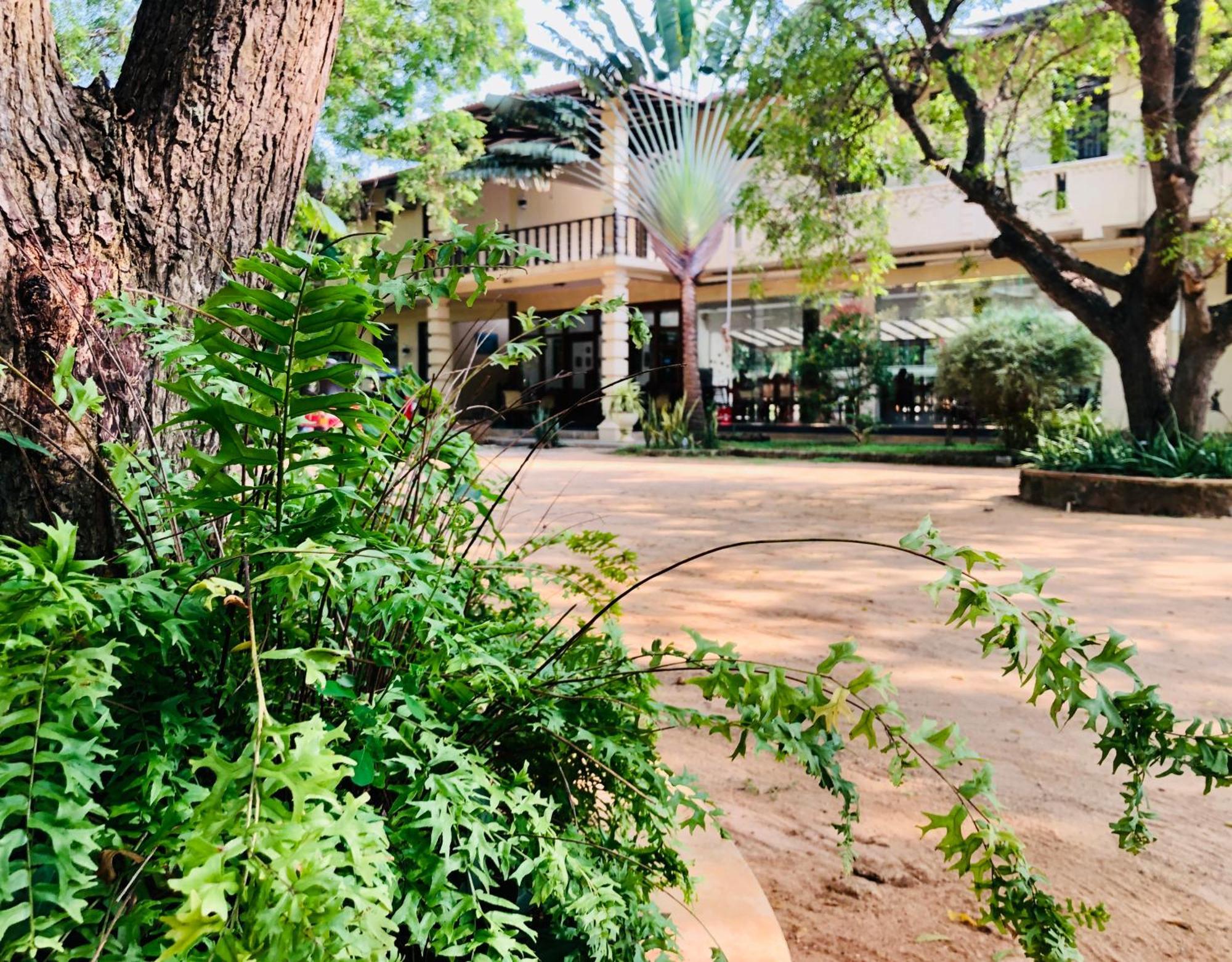 Saman Resort Yala Tissamaharama Exterior photo