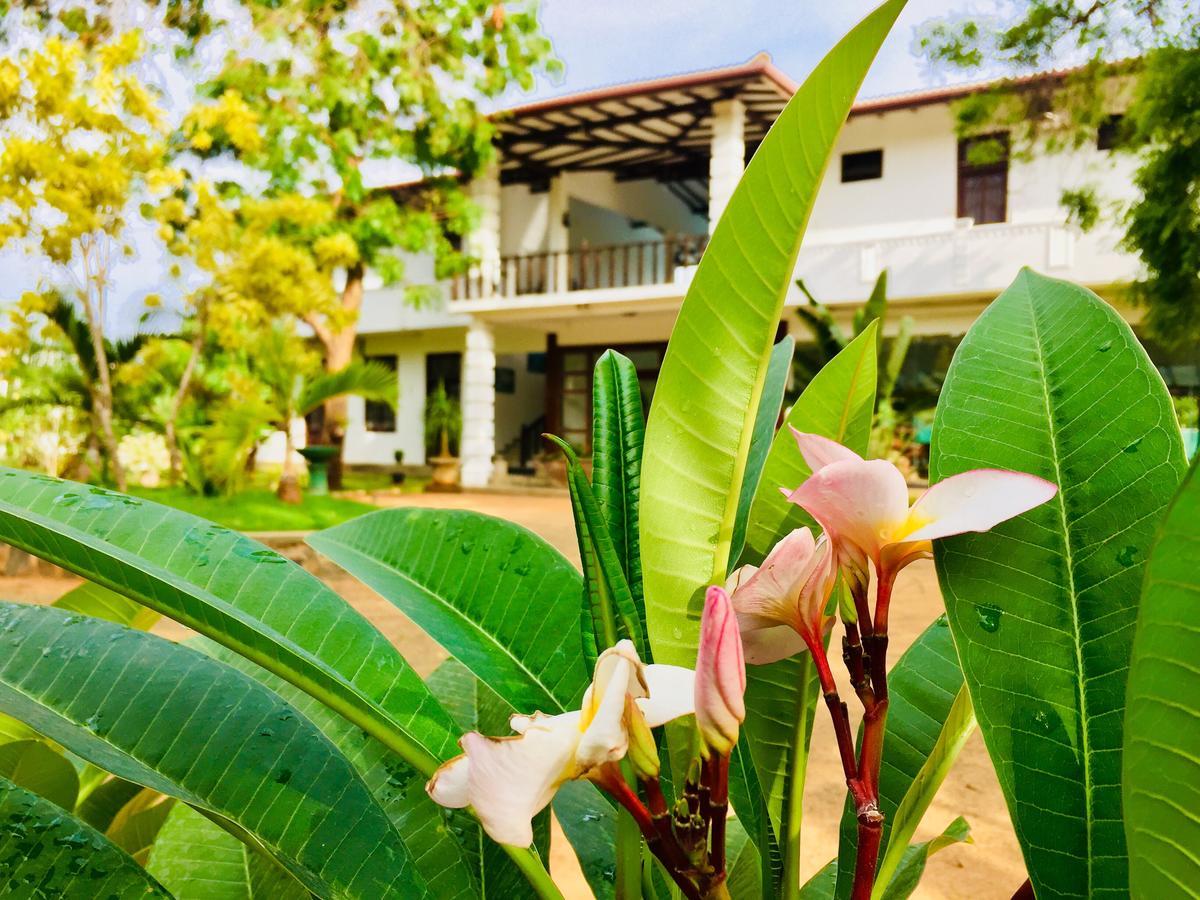 Saman Resort Yala Tissamaharama Exterior photo
